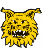 Ilves Tampere